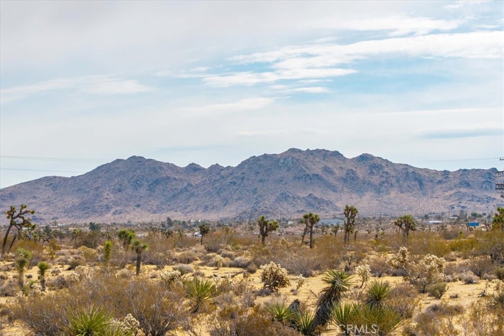 MLS #JT25012913 image #5