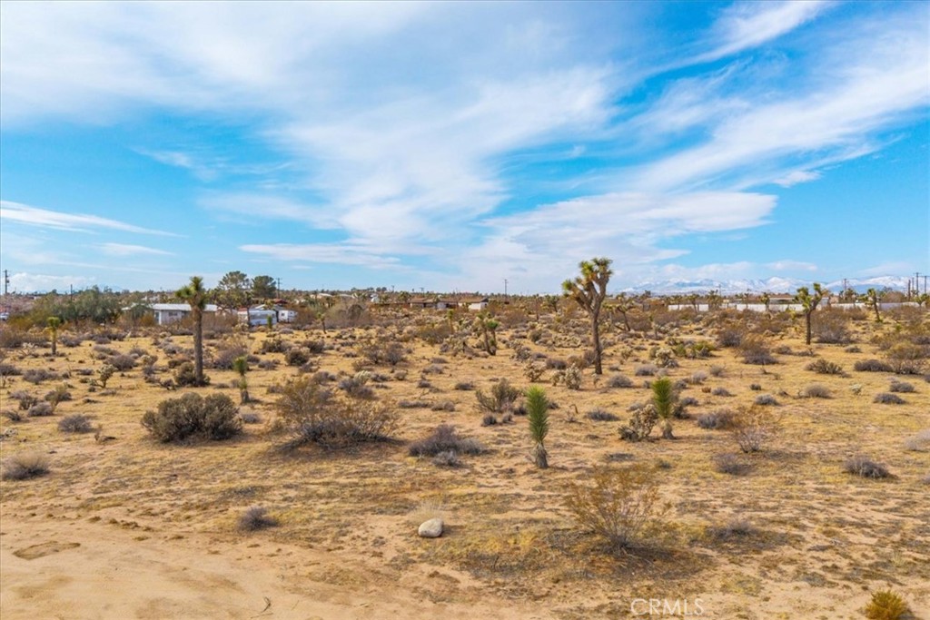 MLS #JT25012913 image #6