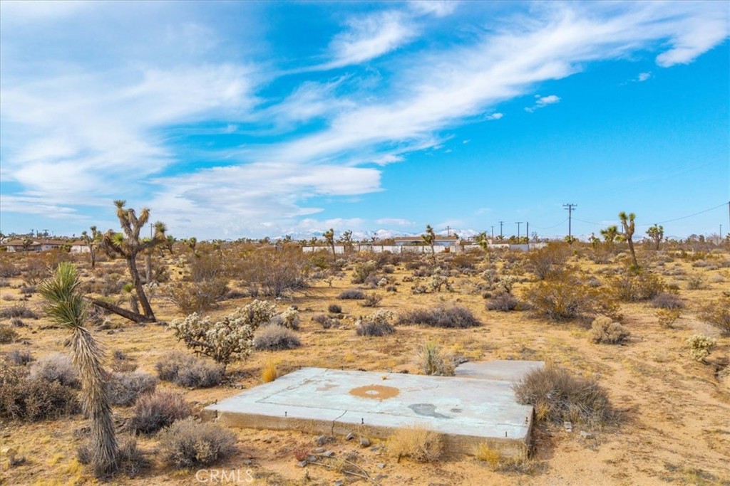 MLS #JT25012913 image #7