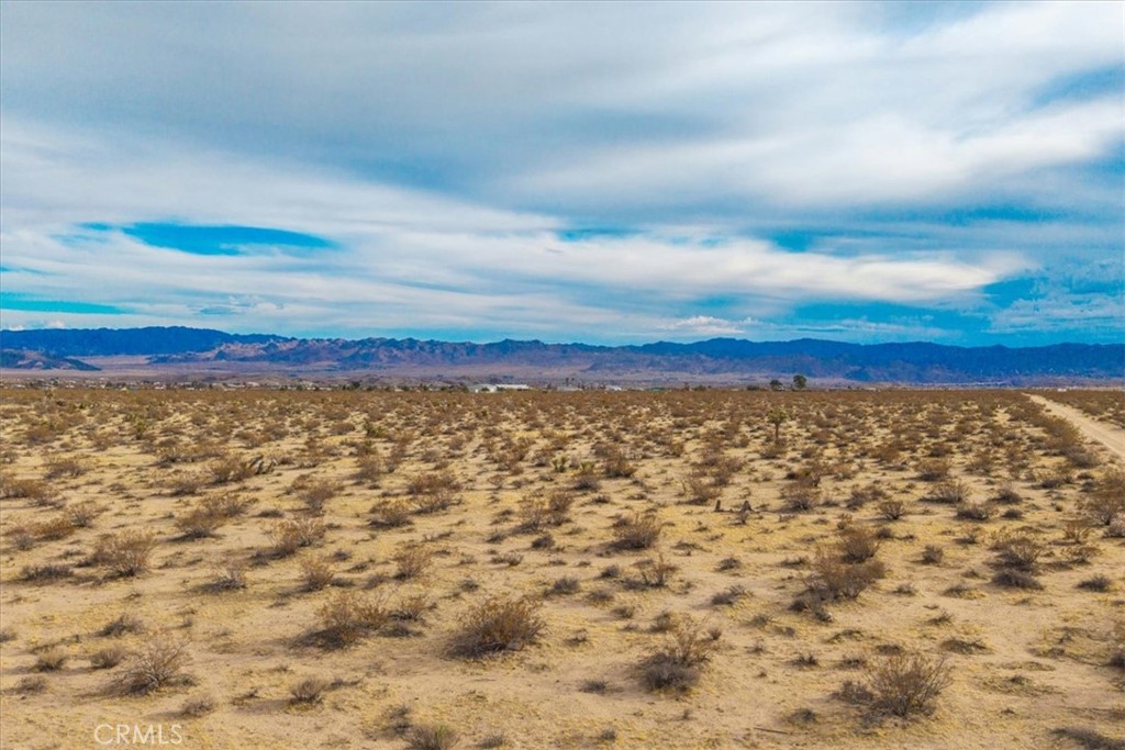 MLS #JT25013944 image #1