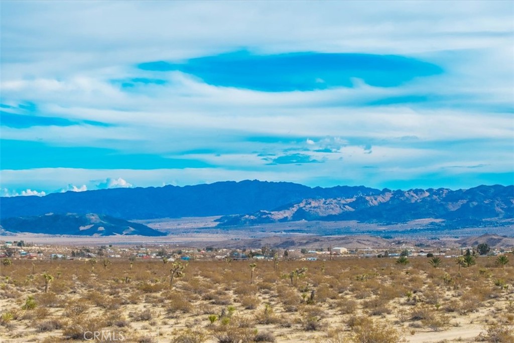 MLS #JT25013944 image #10