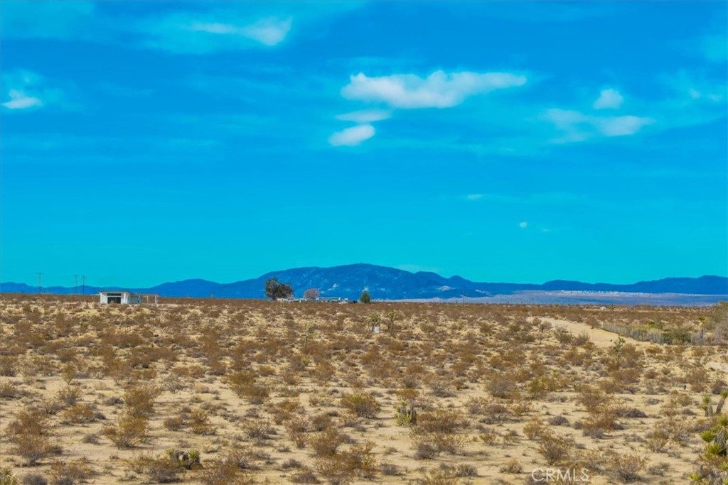 MLS #JT25013944 image #13