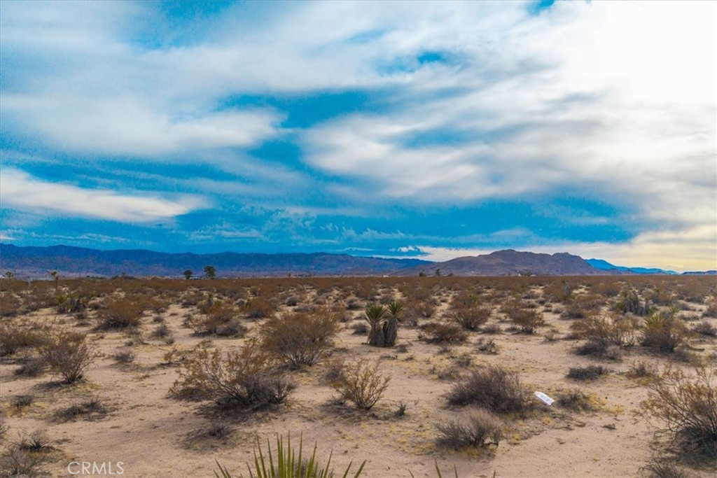 MLS #JT25013944 image #14