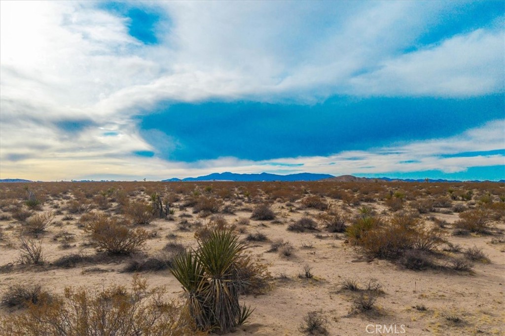 MLS #JT25013944 image #15