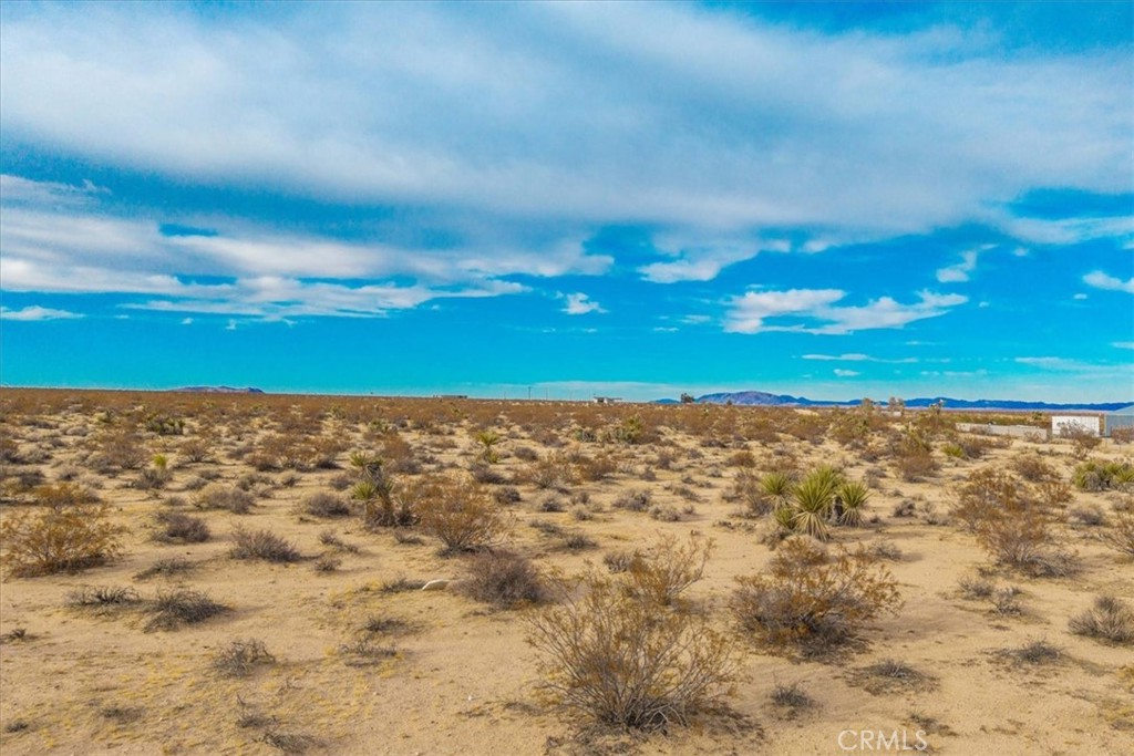 MLS #JT25013944 image #16