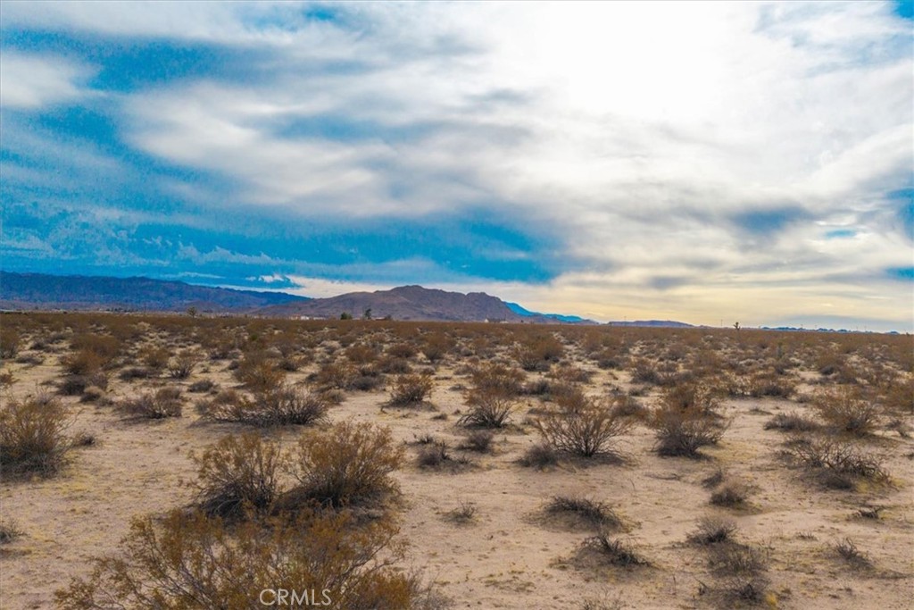 MLS #JT25013944 image #18