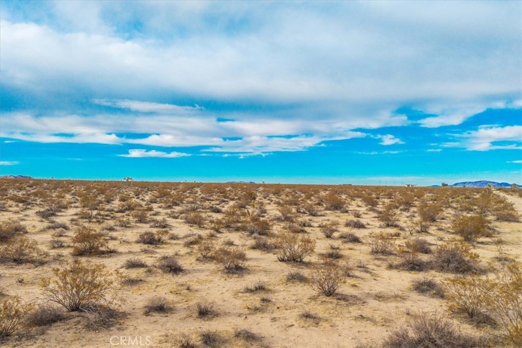 MLS #JT25013944 image #19