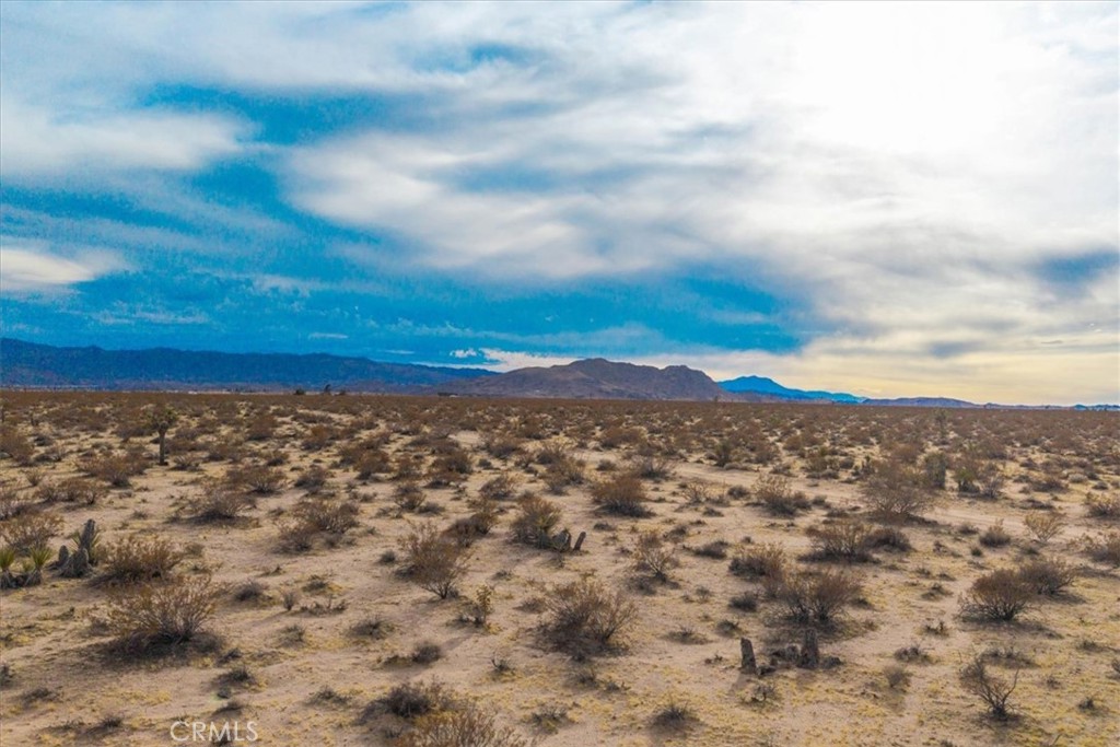 MLS #JT25013944 image #2