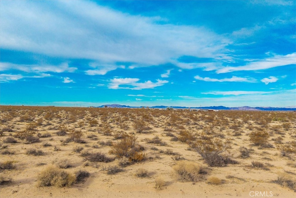 MLS #JT25013944 image #20