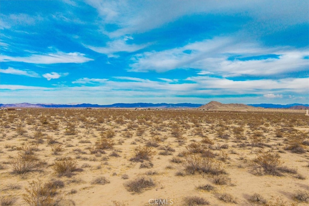 MLS #JT25013944 image #21