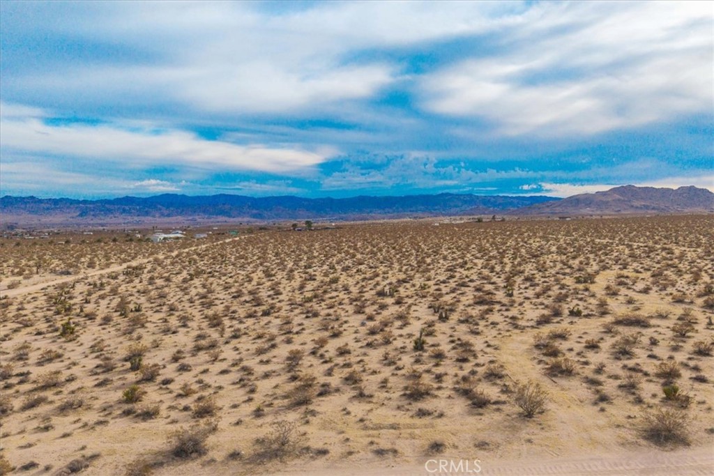 MLS #JT25013944 image #28