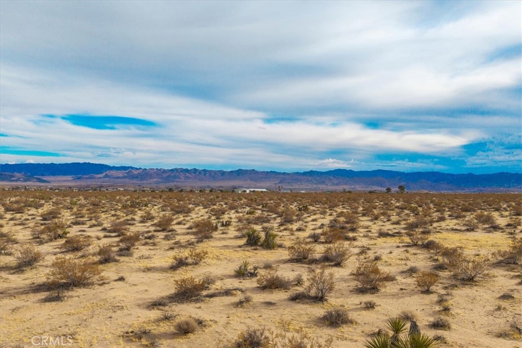 MLS #JT25013944 image #3