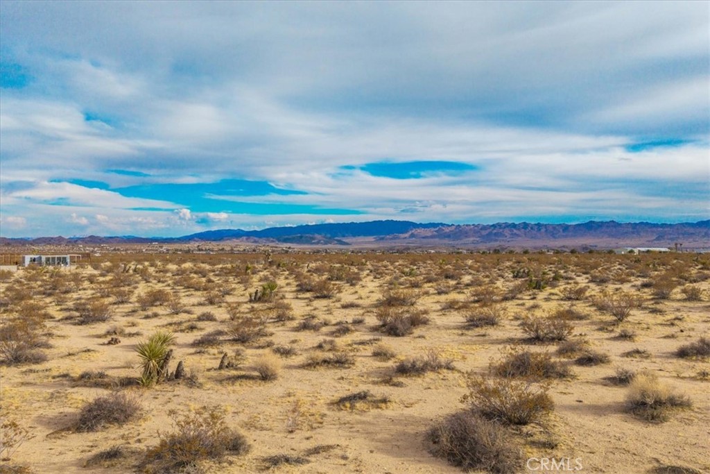 MLS #JT25013944 image #4