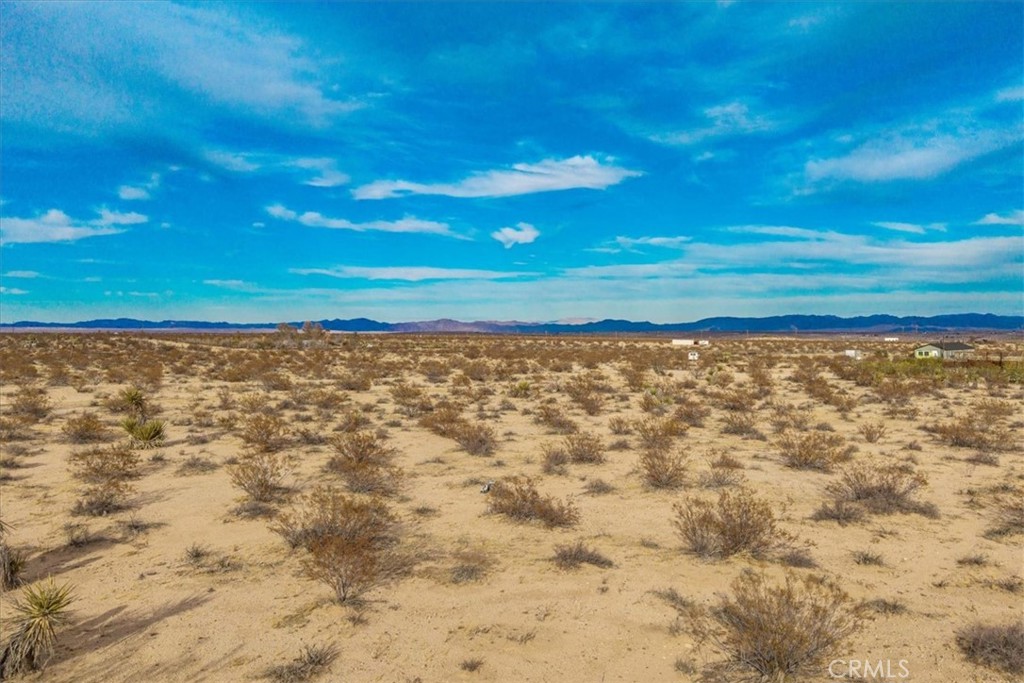 MLS #JT25013944 image #5