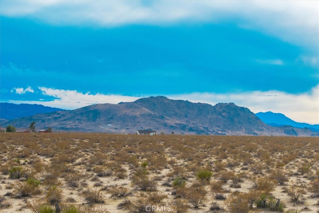 MLS #JT25013944 image #7