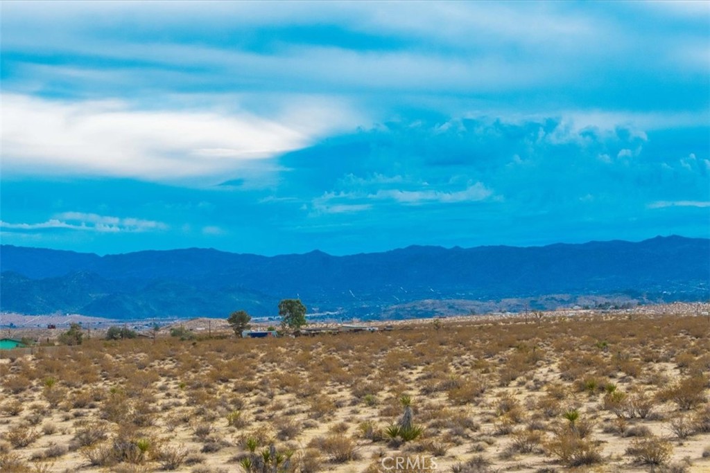 MLS #JT25013944 image #8