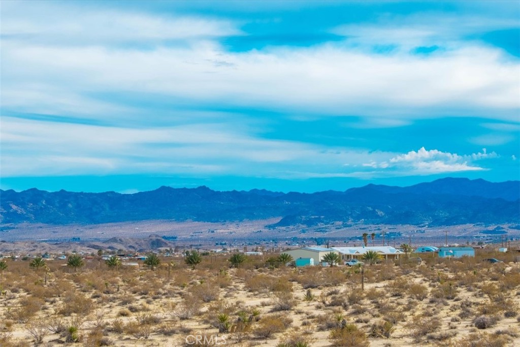 MLS #JT25013944 image #9