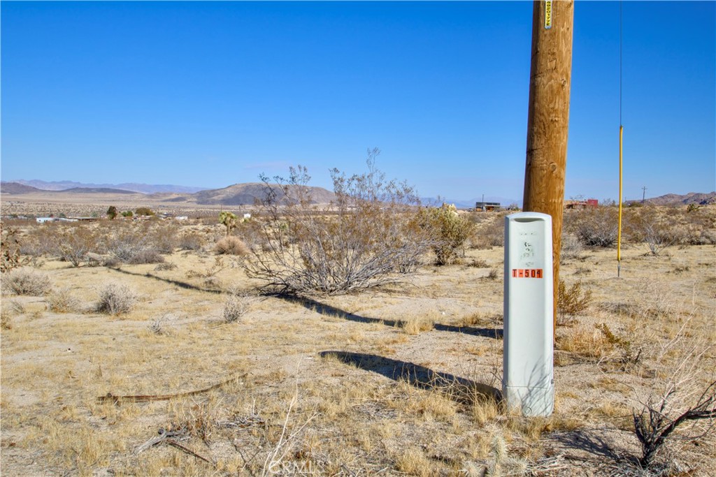 MLS #JT25017909 image #10