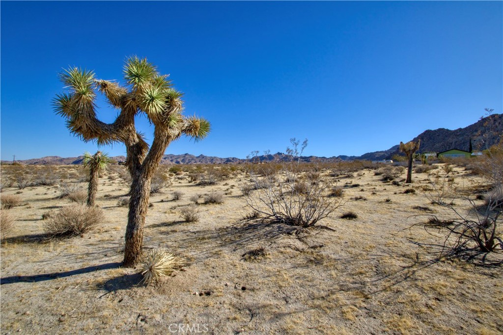 MLS #JT25017909 image #11