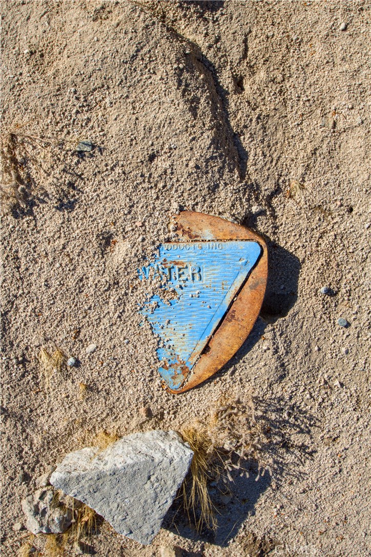 MLS #JT25017909 image #9