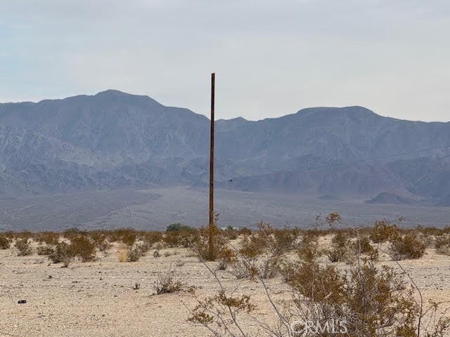 MLS #JT25021321 image #3