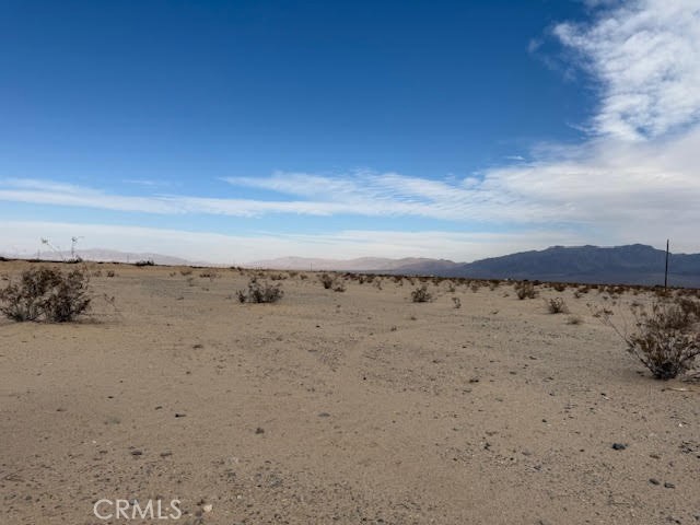 MLS #JT25021321 image #5