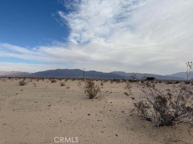 MLS #JT25021321 image #6