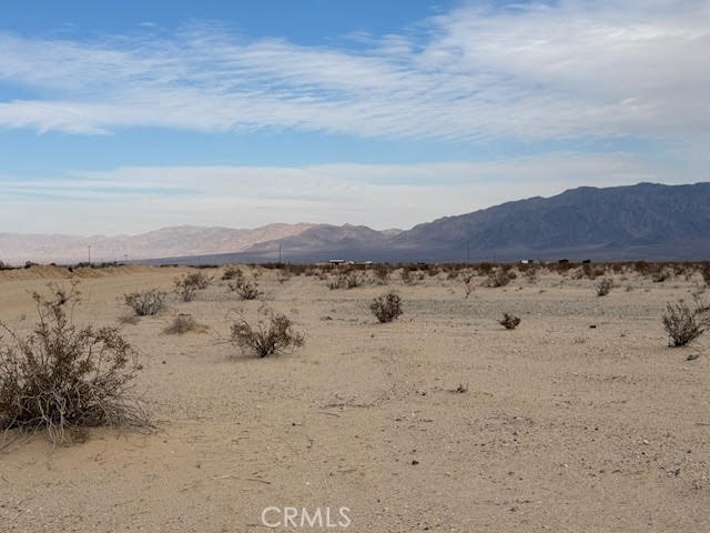 MLS #JT25021321 image #7