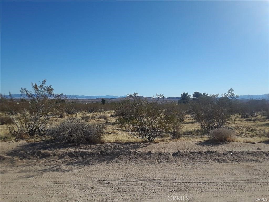 MLS #JT25021399 image #1