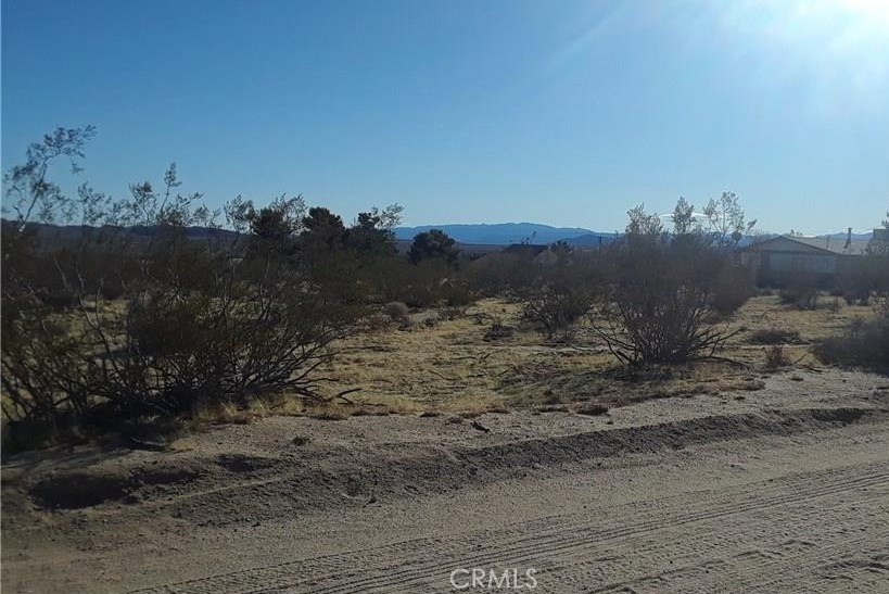 MLS #JT25021399 image #2