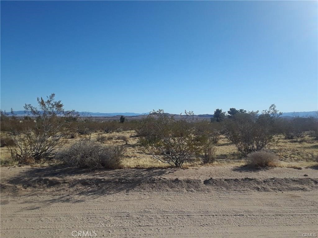 MLS #JT25021399 image #3