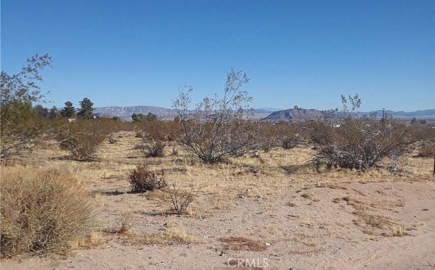 MLS #JT25021399 image #4