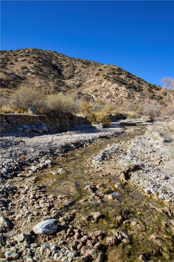 MLS #JT25021871 image #11