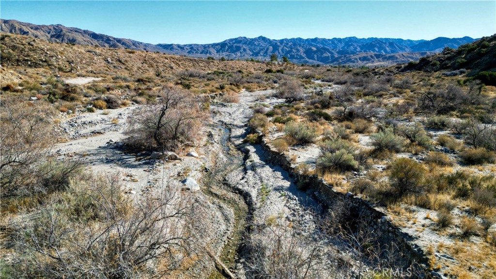 MLS #JT25021871 image #21