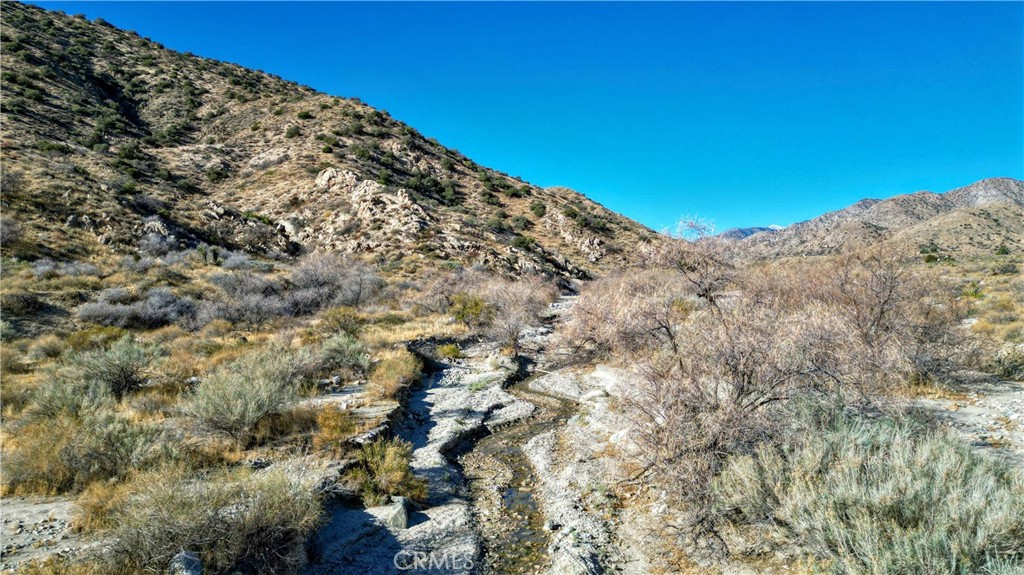 MLS #JT25021871 image #22