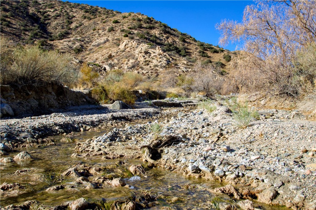 MLS #JT25021871 image #23