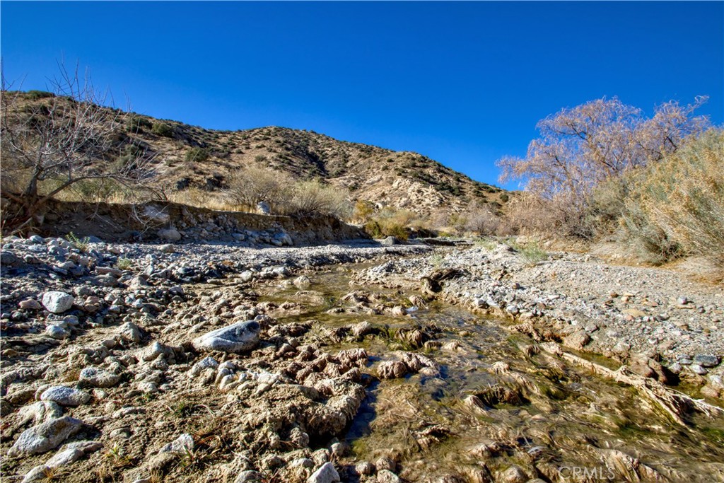 MLS #JT25021871 image #24