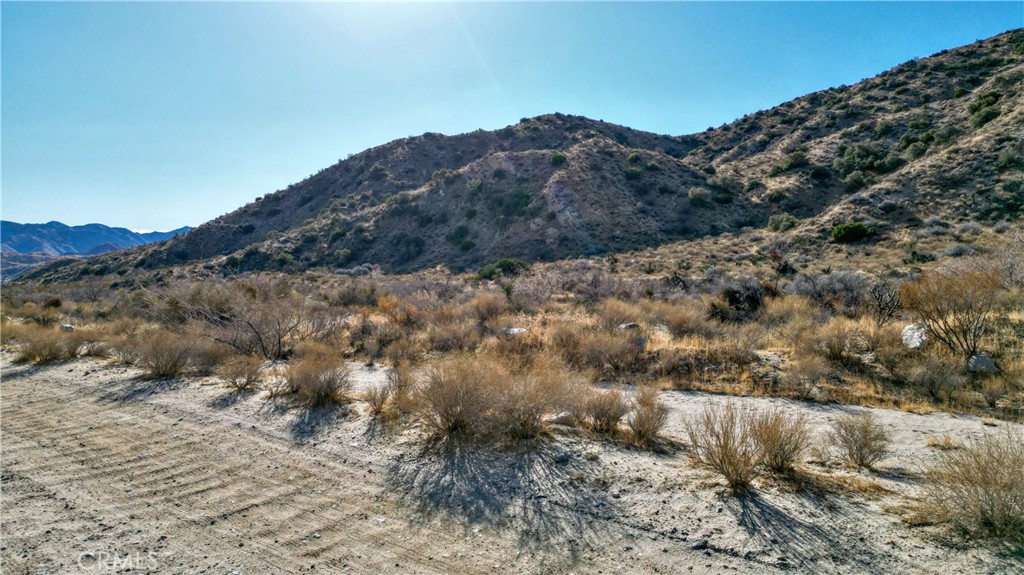 MLS #JT25021871 image #5