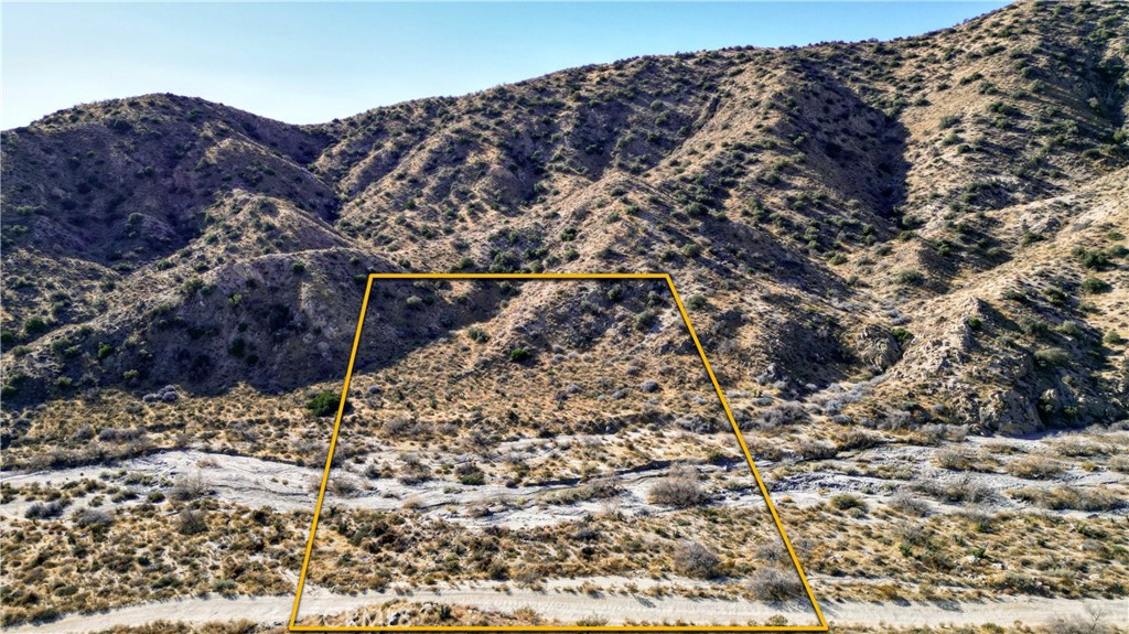 MLS #JT25021871 image #6