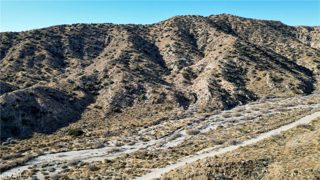 MLS #JT25021871 image #9