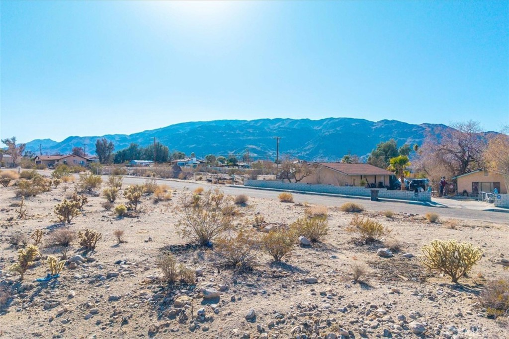 MLS #JT25028804 image #10