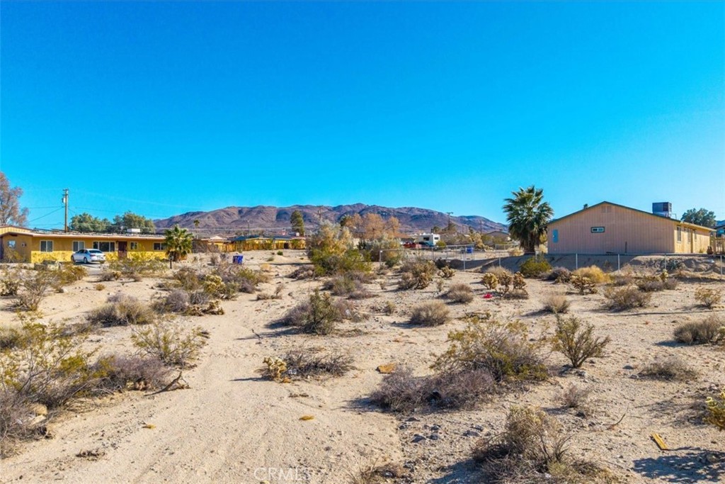 MLS #JT25028804 image #11