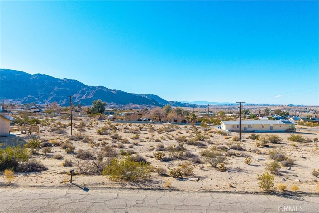 MLS #JT25028804 image #12