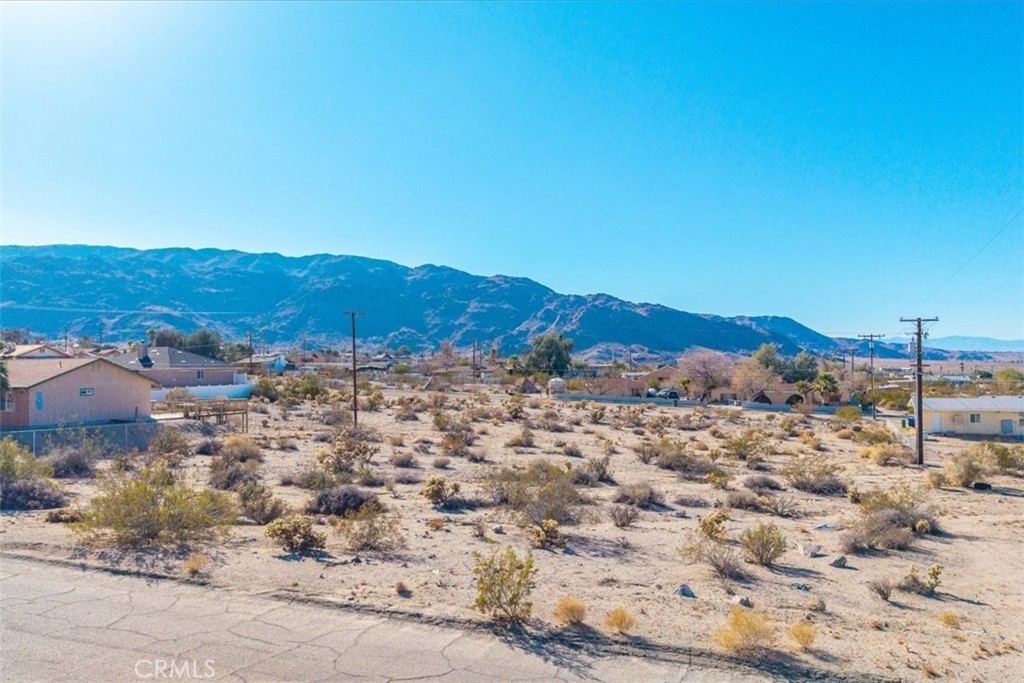 MLS #JT25028804 image #13