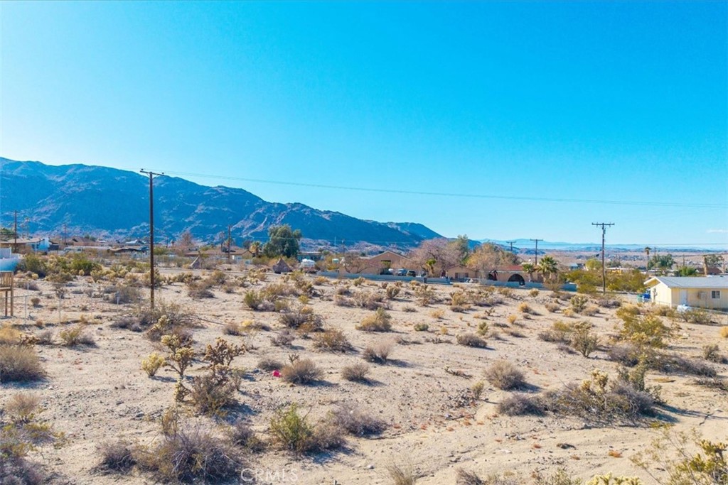 MLS #JT25028804 image #5