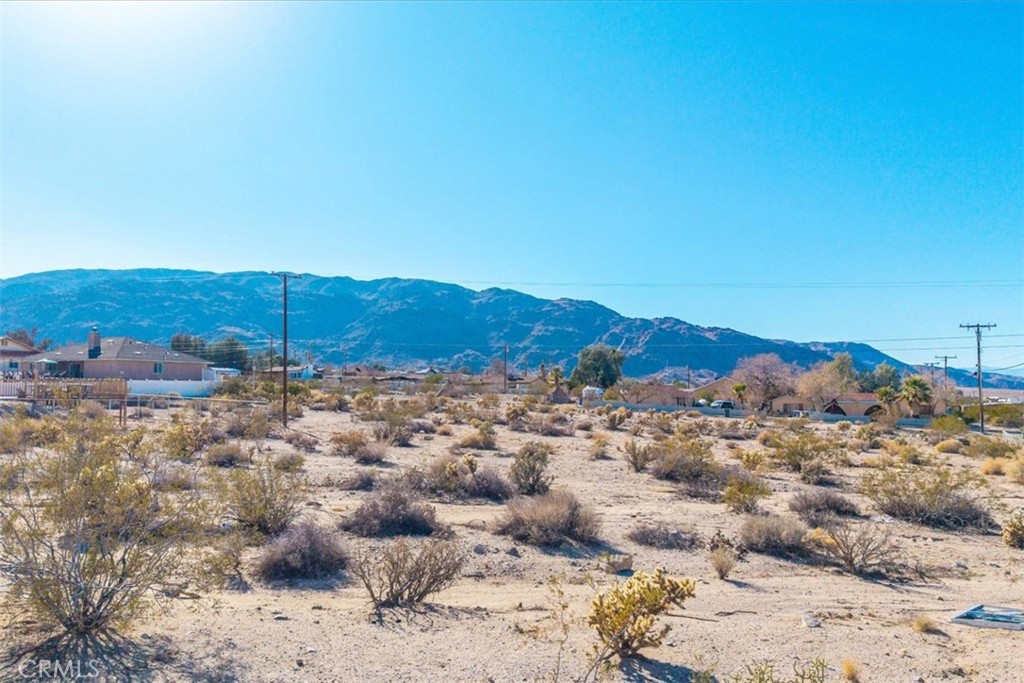 MLS #JT25028804 image #6