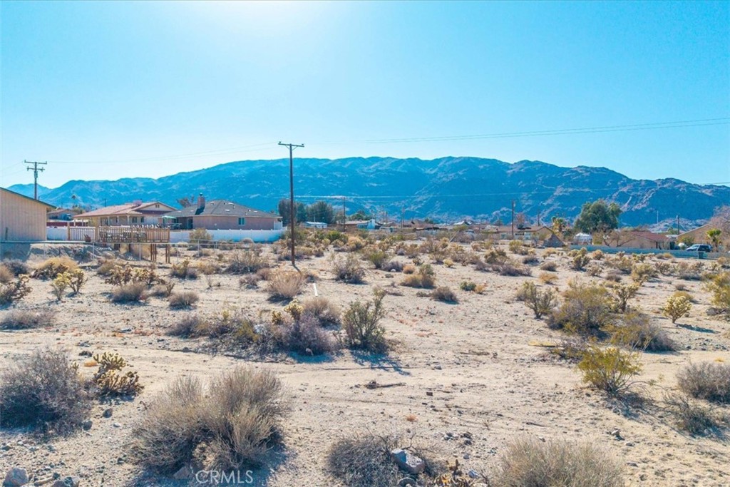 MLS #JT25028804 image #7