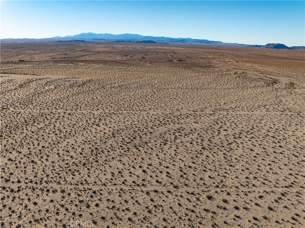 MLS #JT25029694 image #10