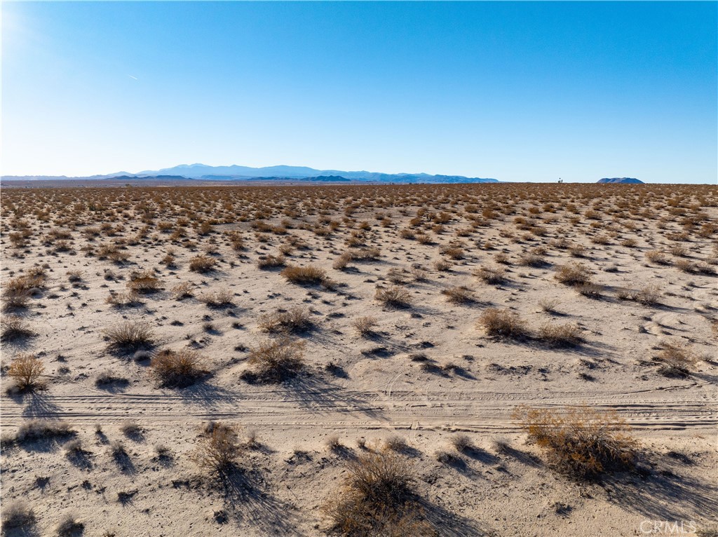 MLS #JT25029694 image #19