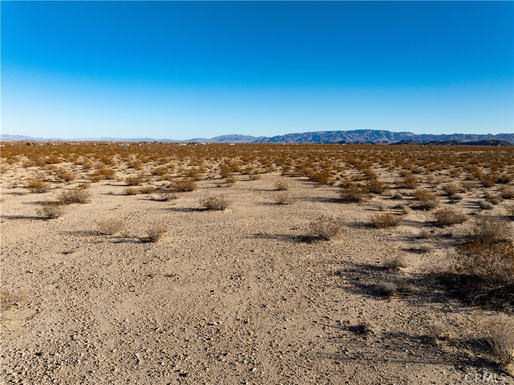 MLS #JT25029694 image #22